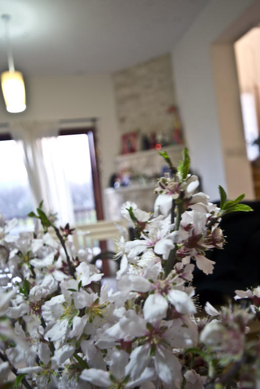 Willa Lania Royal Oak House Pokój zdjęcie